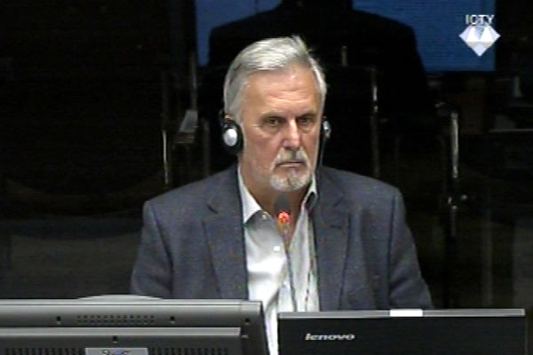 Vladimir Radojčić, svjedok odbrane Ratka Mladića 