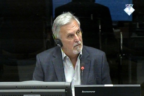 Vladimir Radojčić, svjedok odbrane Ratka Mladića 