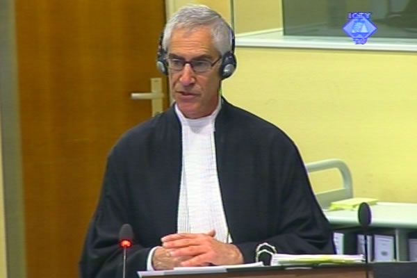 Alan Tieger, tuzilac na suđenju Radovanu Karadžiću