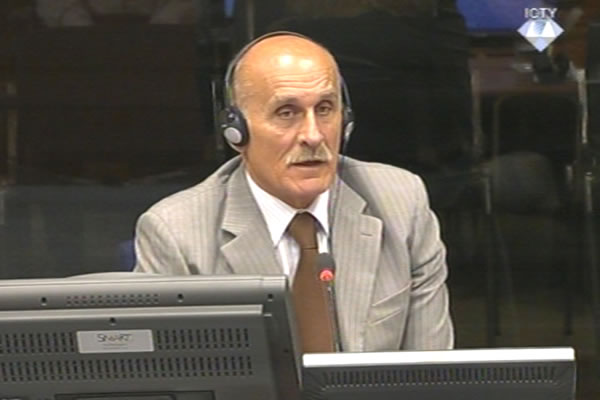 Dragomir Andan, svjedok odbrane Radovana Karadžića 