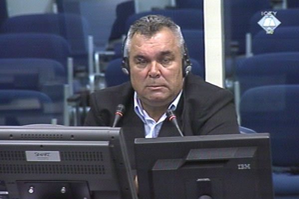 Mendeljev Đurić - Mane, svjedok odbrane Radovana Karadžića 