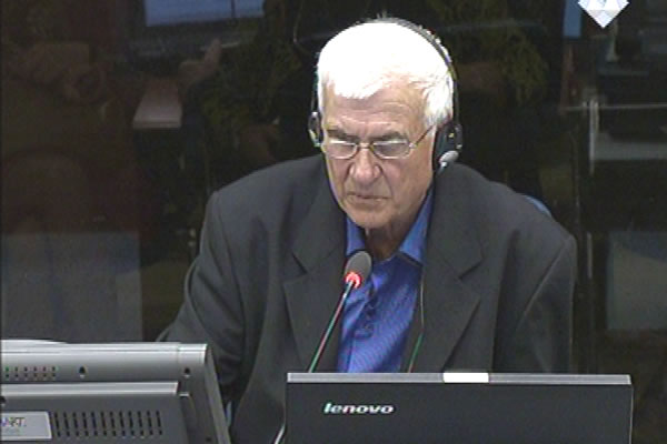 Tihomir Stevanović, svjedok odbrane Ratka Mladića 