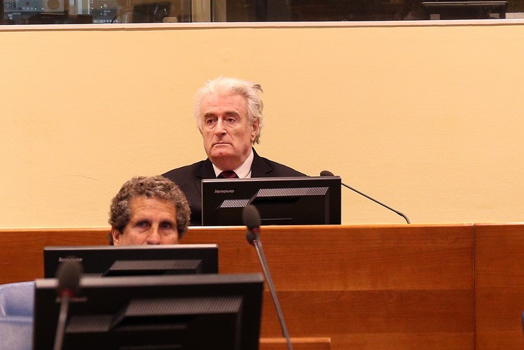 Radovan Karadžić, izricanje žalbene presude u Međunarodnom rezidualnom mehanizmu za krivične sudove (MRMKS)