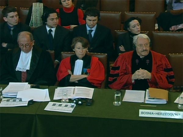 Zastupnici Bosne i Hercegovine na Međunarodnom sudu pravde